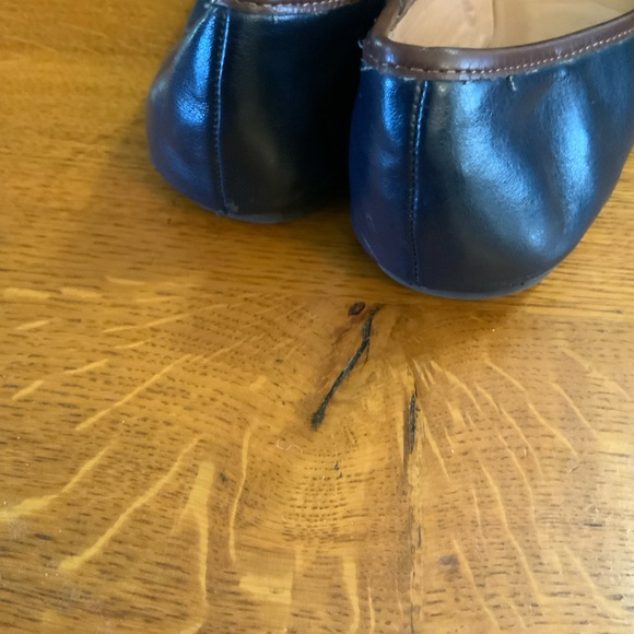 Navy ballet with buckle - Picture 6 of 6